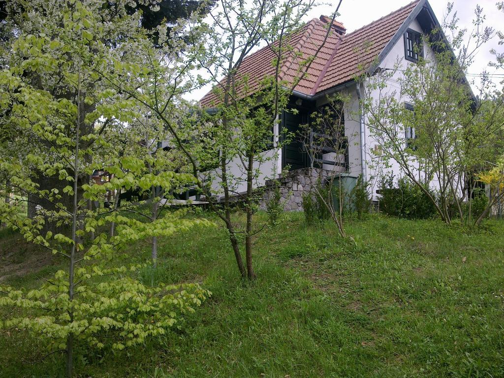 Villa Casa Gabriela Sinaia Camera foto