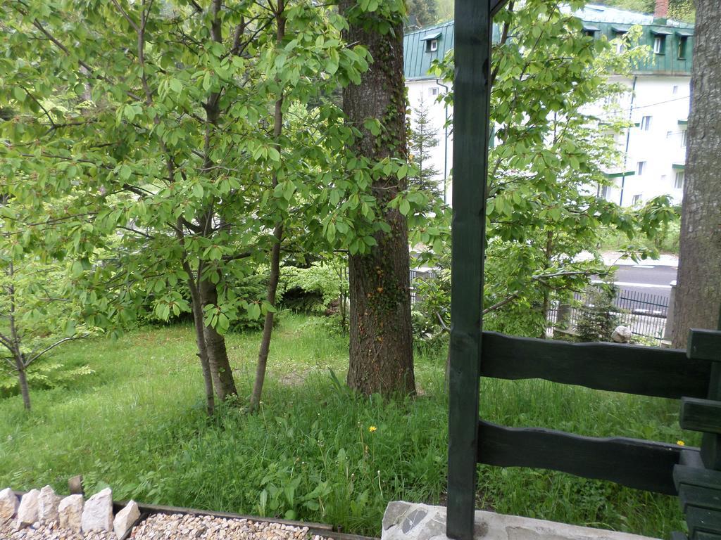 Villa Casa Gabriela Sinaia Esterno foto